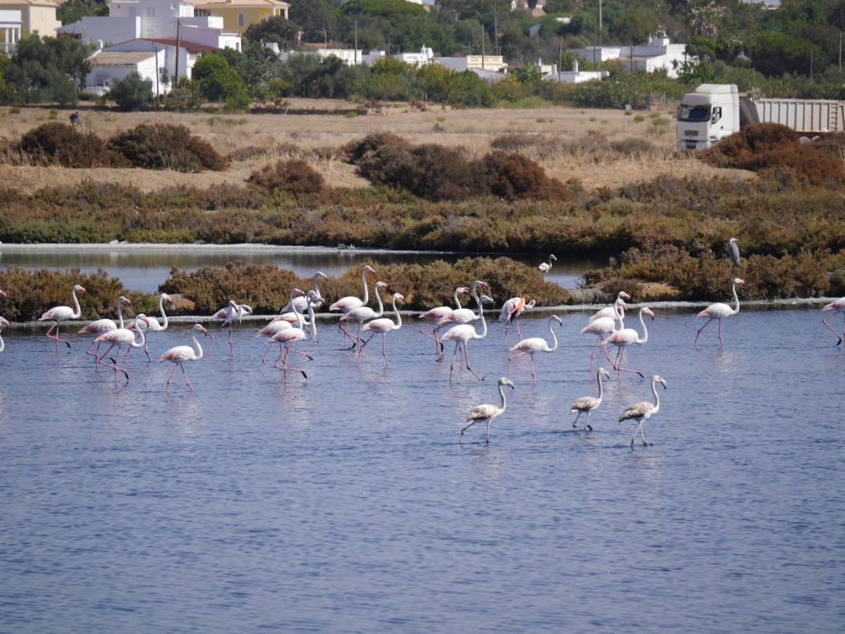Tavira Nomad Guesthouse Ngoại thất bức ảnh